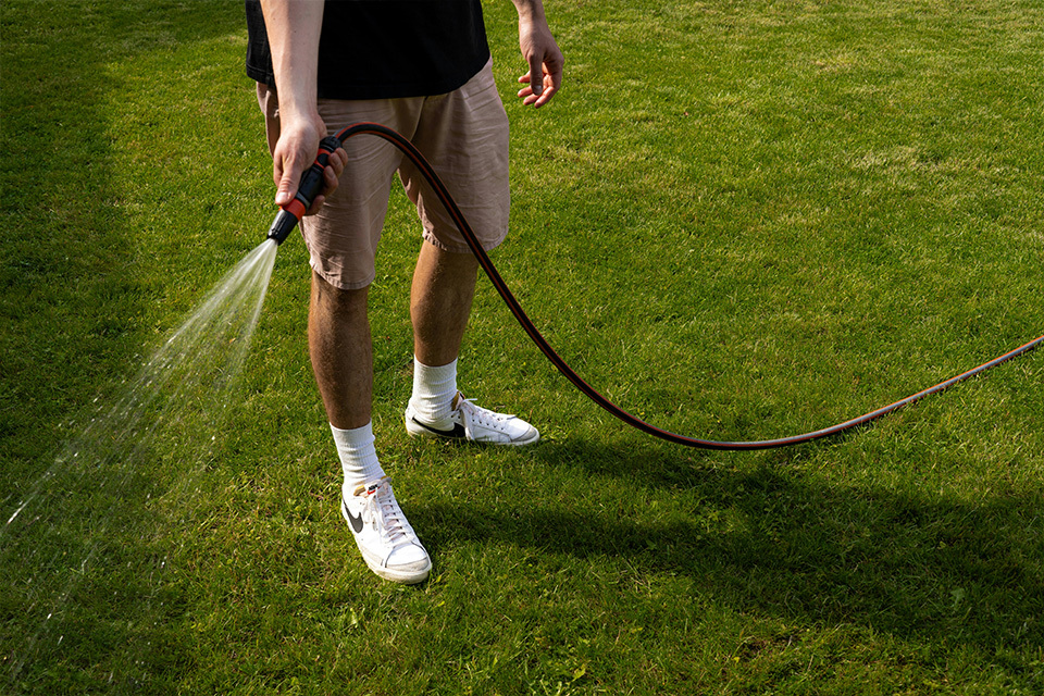 Turf lawn blog ultimate lawn actercare [city]