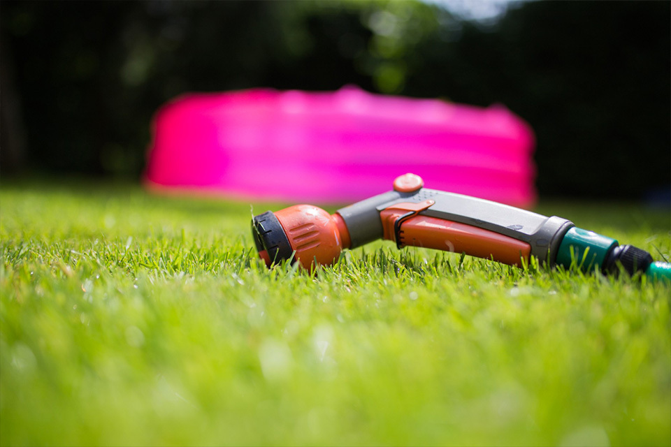 How to take care of a lawn during heatwave Berkshire