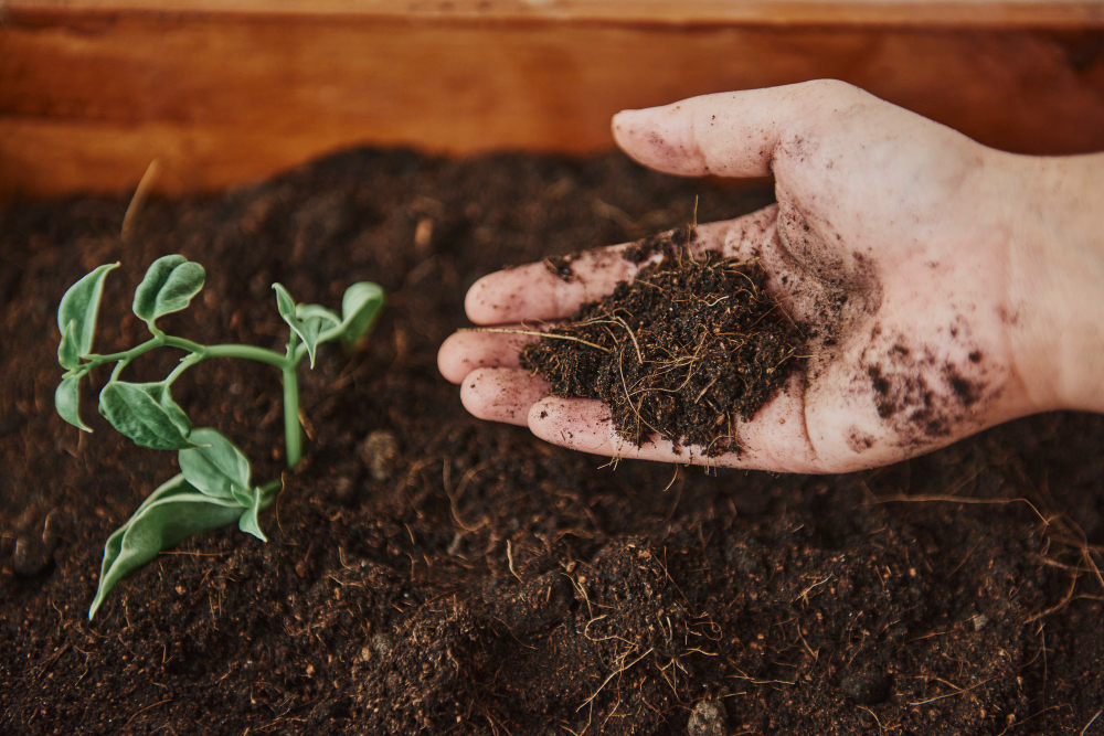 topsoil in london